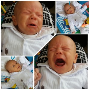 Eat, Play Cry - more like it.