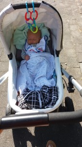 Ziggy asleep in the pram,
