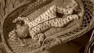 Ziggy in his bassinet.