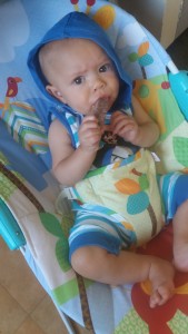 Ziggy eating steak.