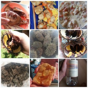 Seafood feast