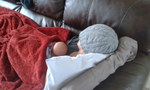 Ziggy and AJ asleep on the couch.