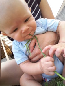 mmmmm, yummy grass.