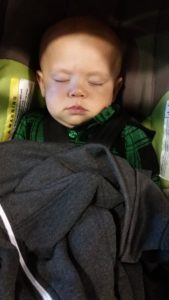 Ziggy asleep in his carseat.