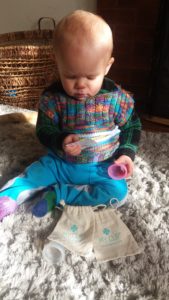Ziggys busy reading the instructions.