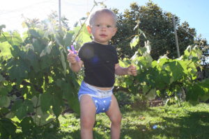 Pikapu All In One Blue Modern Cloth Nappy