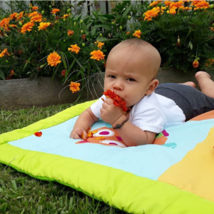 Even before starting feed, he was chewing things.