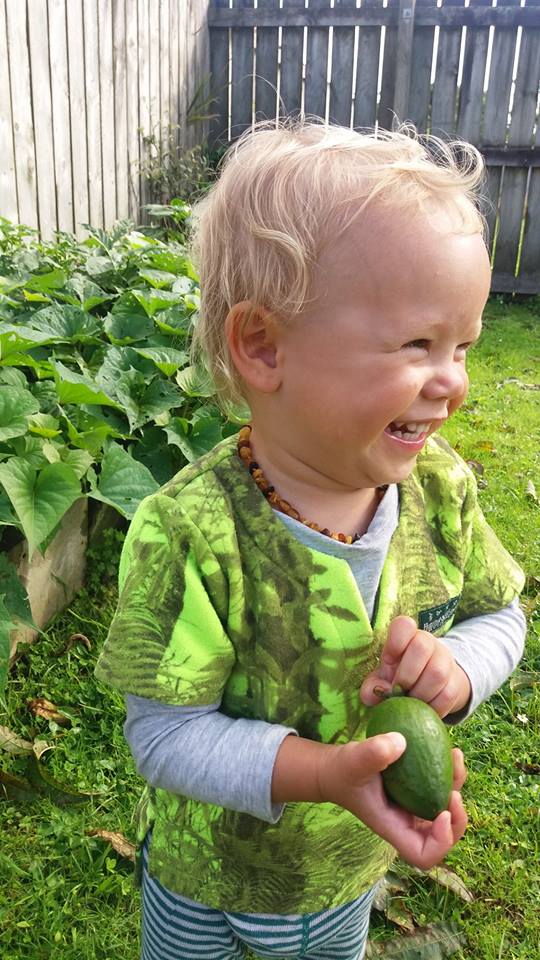 A happy child clutching a feijoa.