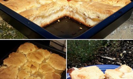 Feijoa Shortcake Recipe