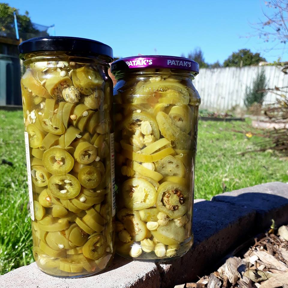 Two tall jars of pickled green chilies.